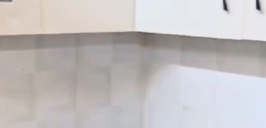 Fully furnished New Flats 2bhk in Urban Homes Aditya World City for Rent Rent  18000k