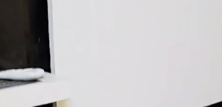 Fully furnished New Flats 2bhk in Urban Homes Aditya World City for Rent Rent  18000k